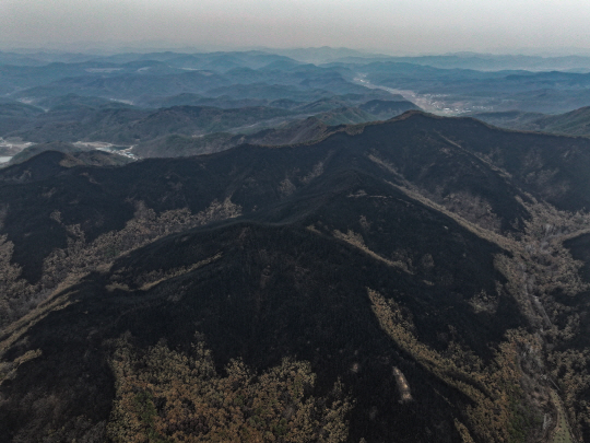28일 경북 의성군 산림이 일주일간 지속된 산불로 폐허가 돼 있다. 산림 당국은 이날 오전 5시 기준 의성 지역의 산불 진화율은 95%라고 밝혔다. 연합뉴스