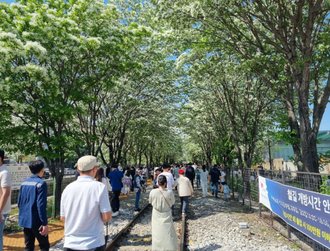 전시·먹거리장터까지… ‘이팝나무 철길’서 만나요