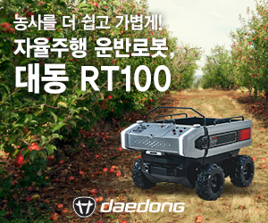 대동