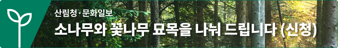 소나무와 꽃나무 묘목을 나눠 드립니다.