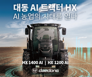 대동