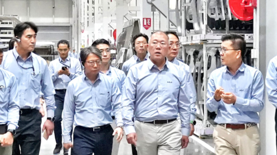 정의선 中→美→印 ‘초단위 행보’… 미래차 3대시장 ‘승부수’