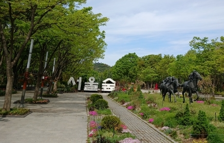 [단독] ‘서울숲 방화’ 러시아 관광객… 큰 불인데 “호기심에”