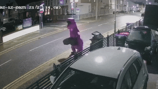 쓰레기 투기 누군지 CCTV 확인해보니…‘공룡 옷’입고 유유히(영상)