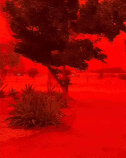 “온통 빨갛다” 호주서 관측된 ‘붉은 하늘’ 이유