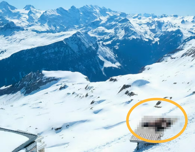 알프스 눈밭서 성관계한 커플, 인터넷 생중계돼 논란