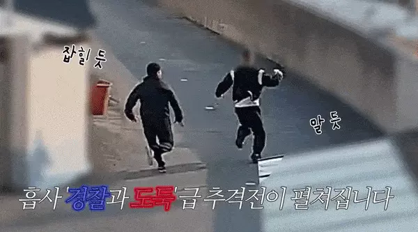 “세금은 이런 곳에…” 몸 날려 범인 잡는 형사 영상