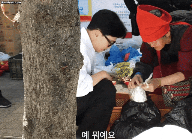 “한동훈, ‘찰밥할머니’가 준 밥 길에 주저앉아 먹는 진정성…”