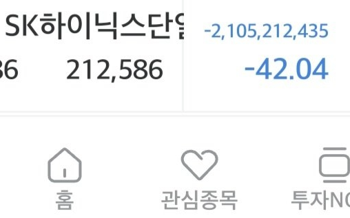 “일장춘몽인가”… ‘하닉 21억 손실’ 개미의 인증 (ft.레버리지)