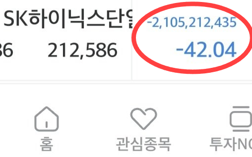 “일장춘몽인가”… ‘하닉 21억 손실’ 개미의 인증 (ft.레버리지)