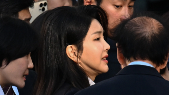 서울고검, 김여사 ‘도이치모터스 무혐의’ 재수사 결정…명품백은 항고 기각